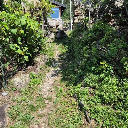 Orsola By Klabhouse Appartement *